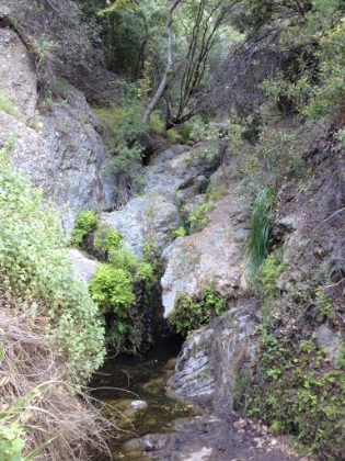 The "waterfall". It's only about 5 or 6' tall, and doesn't have much water this time of year, but it's still nice to see flowing water in this area.