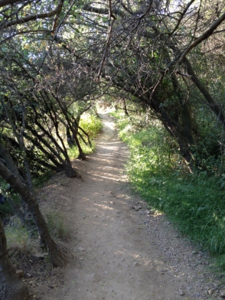 This trail is more exposed than Rivas, but still has some great cover.