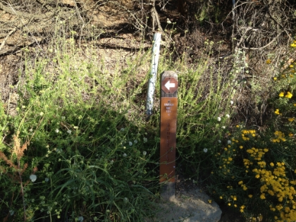 Top of the loop joining up with the Temescal Ridge trail. The loop is much steeper on one side than the other, so it's two very different runs depending on whether you run in clockwise or counter-clockwise.