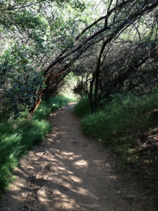 Some nice single-track.