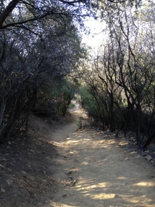 Back down into the canyon. The last mile is almost an 800' mile. It's a tough downhill when you're cold and stiff in the morning.
