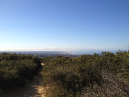 Last chance for an ocean view..