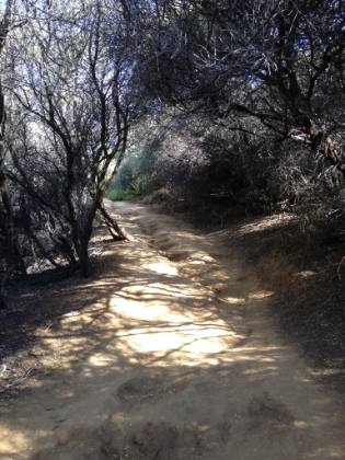 A steep, rutted up/downhill.