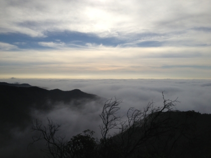 The view on a foggy morning. Almost as amazing as the ocean views.