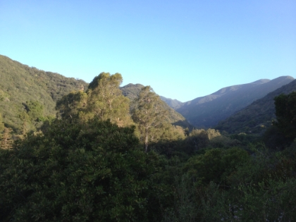 The trail heads quickly up and out of the gateway. It's amazing how fast you're away from the hustle and bustle of Sunset Blvd.