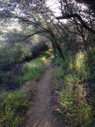 Beats running on a treadmill in the morning before work. And on a really good morning, you can run the whole way without seeing a single human.
