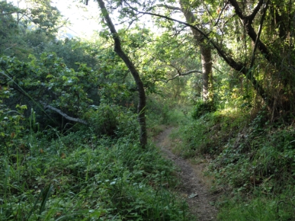 The bottom of the canyon.