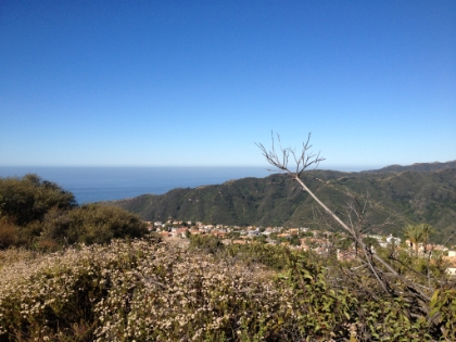 The neighborhood of Palisades Highlands above Pacific Palisades. On foggy days, you can't even see it.