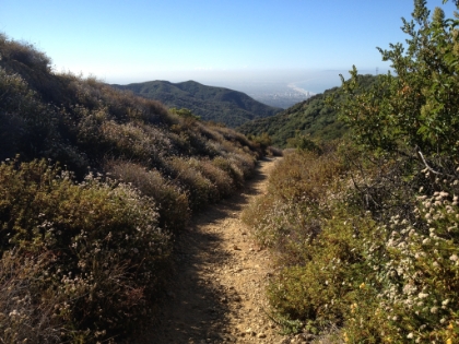 A very odd view. Open wildnerness, not a single human around, and dense downtown Santa Monica in the distance.