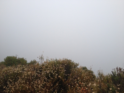 The foggy version of the same view. I almost like the foggy view better; it makes for an eerie run.