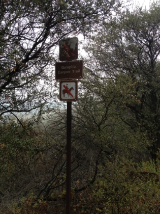 On a different day, I went further past Eagle Rock to the Garapito trail.