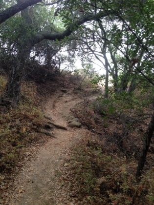 Some great single track.