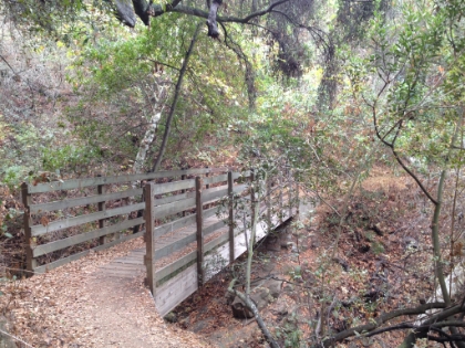 On the Musch Camp trail towards Eagle Rock.