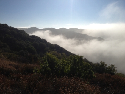 Foggy mornings make for great vistas.