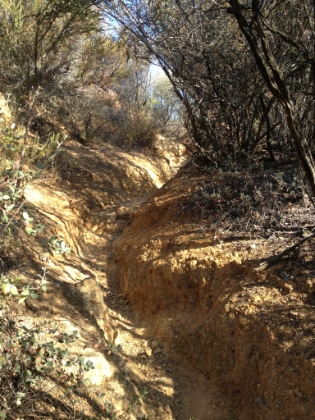 The trail is very steep and technical in places.