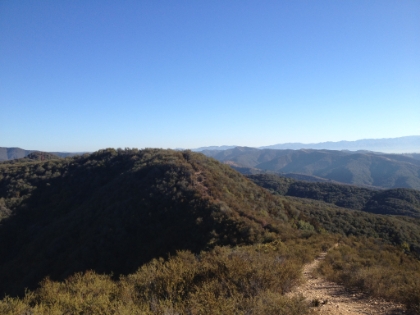 Looking North along the ridge.