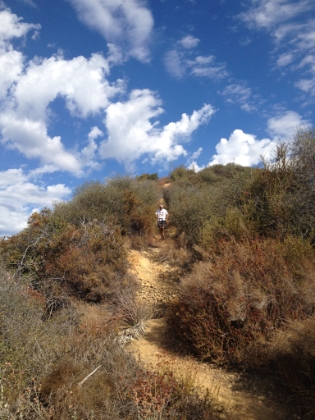 No shortage of steep trail here.
