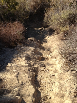 There's a few sections of steep, technical single track on the way up.