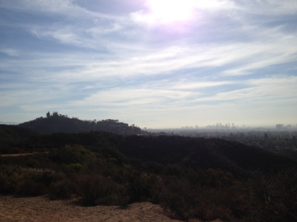 The view of downtown LA from the top.