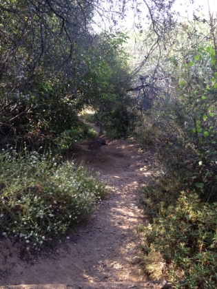 A shortcut down from the top.