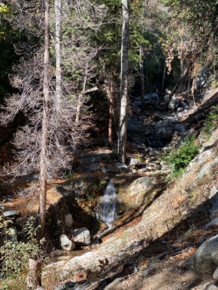 There's still a fair amount of water flowing in the creek, which is always beautiful this time of the morning.