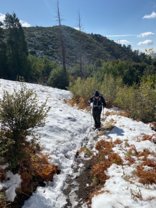 There's pretty good snow coverage at Bear Flat, which is at less than 6,000'. We saw the first small patches of snow all the way down at 4,500'!