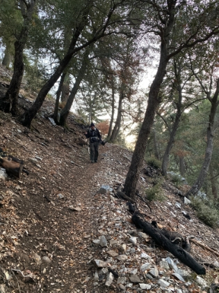 Down out of the snow now and almost back to the trailhead. We made it just in time before needing headlamps. End to a perfect snow day, and now time for some amazing food at Gus' BBQ...