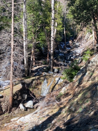 The creek is flowing with spots of snow in Bear Canyon.