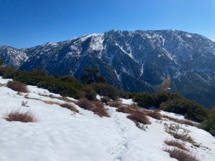 It's mostly dry up to about 7,000', but then it start getting thick fast.
