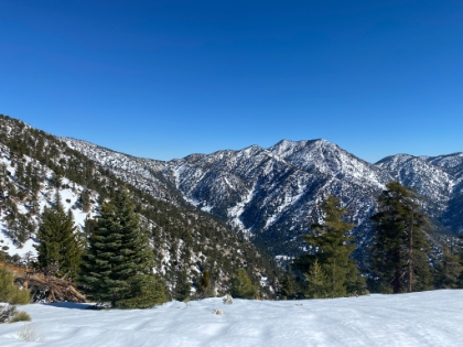 It's knee deep by 7,500'. It's a beautiful day, not a cloud in the sky. And not another human on the trail.