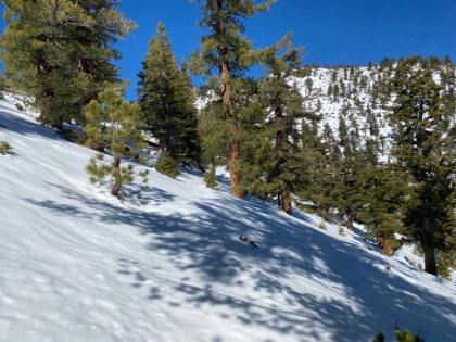 But the snowshoers apparently turned around, and I'm breaking trail from here on.