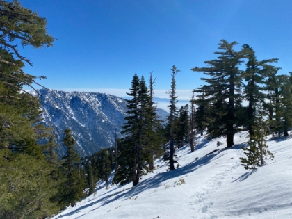 Looking back at my tracks. I'm postholing anywhere from knee to thigh deep now, and it's a crazy workout. Every step is a roll of the dice whether your foot stays on the surface or sinks thigh deep. And then I broke one my snow poles to add to the fun.