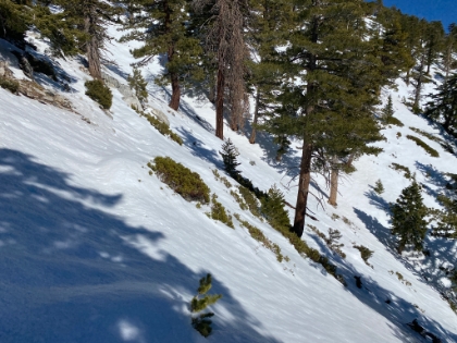 This traverse was a little dicey. The downhill slope is steeper than it looks in the photo.