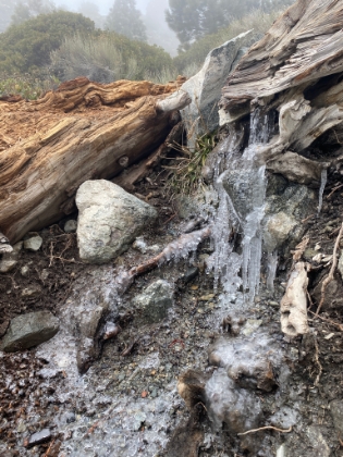 Heading up the Ski Hut trail. It's already only 32deg at the trailhead, and water running down the trail below the hut is frozen into icicles.