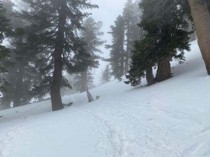 Up above the bowl now, and it's solid snow at least a foot or two deep.