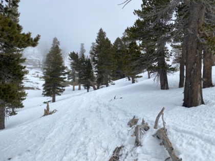 Approaching the last climb to the top. The wind is starting to pickup and it's getting COLD!