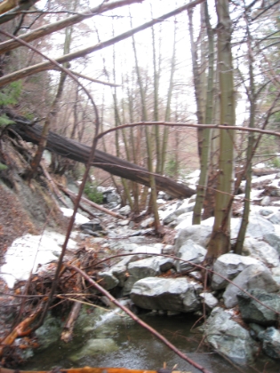 This time around my dad wanted to join me to try out some trekking and snowshoeing. We had been trying to find a day with good snow, and trying to decide on a trail that was challenging but not quite as crazy as some of my previous solo expeditions. We ended-up deciding on Icehouse Canyon on a day with heavy snow forecast. The makings of a perfect snow day!  A look at the creek in Icehouse Canyon on the way up the trail. A bit less snow than last time I was here. It is raining fairly hard at this point given that we are still below the snow line. As we move up in elevation, the rain turns to sleet, then small hail, and then finally legitimate snow. Unfortunately, my non-waterproof camera is starting to succumb to the elements and sporadically has moisture condensing in it throughout the day. This picture and many others would end-up turning out blurry or entirely fogged-up.