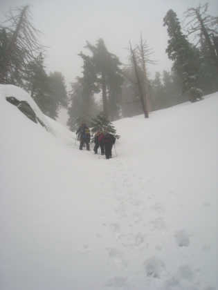 For some reason, today was a popular trekking day in the canyon. We saw more people today than in all my other treks combined. But it does make things mentally easier knowing that there is help around if you need it.