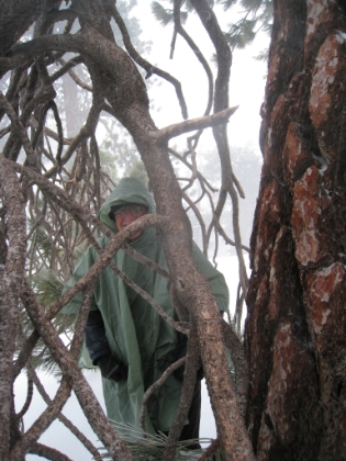 We take shelter behind a tree from the wind and driving snow.