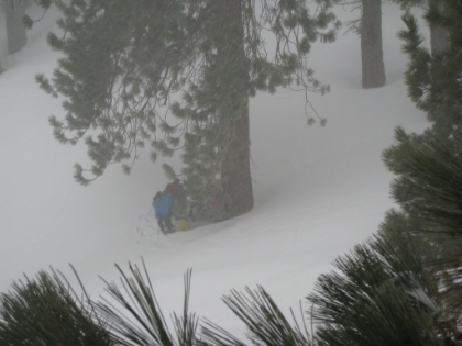 A look at another group on the saddle taking shelter behind a tree. And to think we are less than an hour away from the urban sprawl.