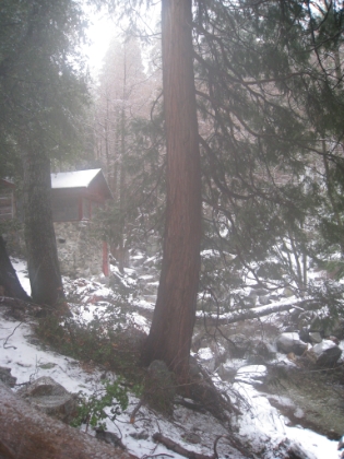 A cabin overlooking the creek in Icehouse Canyon. This part of the canyon is not in the Cucamonga Wilderness and has private properties. This one is currently for sale in fact.