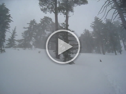 As we near Icehouse Saddle, the wind is howling, it is snowing heavily, we are in near whiteout conditions, and the temperature is in the low 20s. You couldn't ask for more perfect trekking conditions!