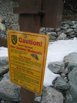 I have seen signs warning about mountain lions, rattlesnakes, and bears, but never one warning about New Zealand Mudsnails!