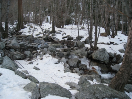 The creek running down Icehouse Canyon amidst the snow. One of the more picturesque spots I have seen in the Mt. Baldy area.
