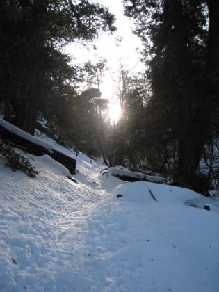Late morning sunrise in Icehouse Canyon. I will actually see the sun rising and setting from almost the exact same location today. I saw one human just in from the trailhead, and then what looked like a husband/wife pair a bit further up the trail. They were loud, and I was worried about having them in my footsteps the whole way up, but they didn't make it very far once the snow got deep. I didn't see another human for the rest of the day.
