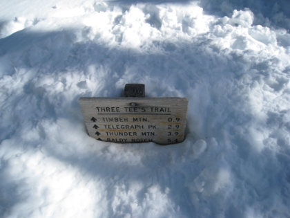 If I want to keep going, I have two options. Either South towards Cucamonga Peak or North towards Telegraph Peak. Originally, I had planned on Cucamonga Peak, but Telegraph Peak is the highest point in the Cucamonga Wilderness (higher than Cucamonga Peak by almost 200'), so I figured I might as well try to conquer that. Normally changing your itinerary is a no-no, but since I hadn't been able to tell anyone my itinerary anyway, no harm done.