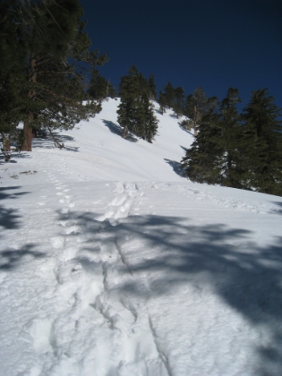 The trail heading towards Timber Mtn. Much less traffic than the trail thus far. But as long as I have good set of prints to follow, things will be easier.
