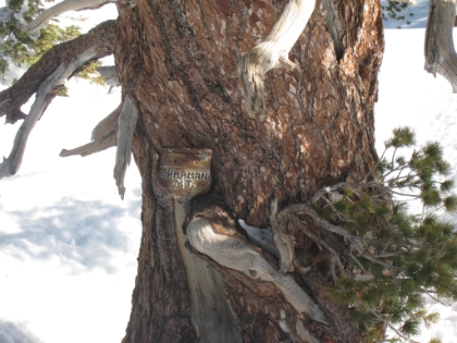 The first "T" peak, Timber Mtn. Evidently it used to be called Chapman Mtn. Either that or I'm in the wrong place!