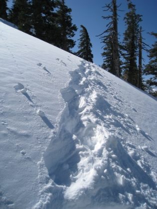 In my previous set of Baldy snowshoeing pictures, I neglected to mention my hatred of cross-traversing. What is traversing? Picture hiking a dry trail cutting across a steep slope. The trail is cut into the slope almost perpendicular to it. Well, in deep snow, the trail is gone, and you have only the angle of the slope. In deep powder. And snowshoes have the least traction in the lateral direction. It is definitely the most technically difficult part of snowshoeing in my opinion. It is slow going, grueling, murder on your ankles, and dangerous.