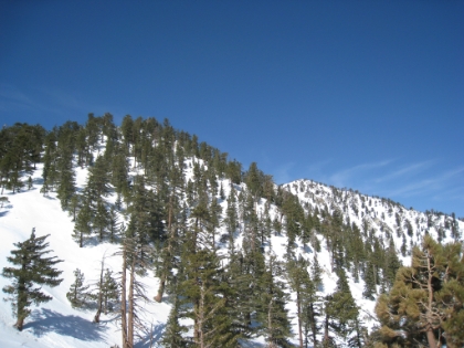 On my way up to Telegraph Peak (on the right). The topo map says the next portion of the trail is over 1000' gain in less than a mile. Not going to be fun. Snowshoeing terrain like this in deep powder, breaking your own trail, at altitude, is an insane workout. I really don't think I have ever done anything as grueling before.